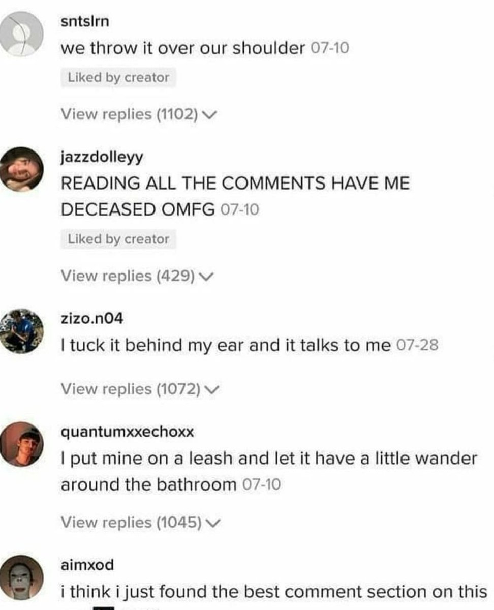 A_I_M_1999's tweet photo. Ladies and gentlemen, the best comment section of all time. https://t.co/lAZQ6KWhrC