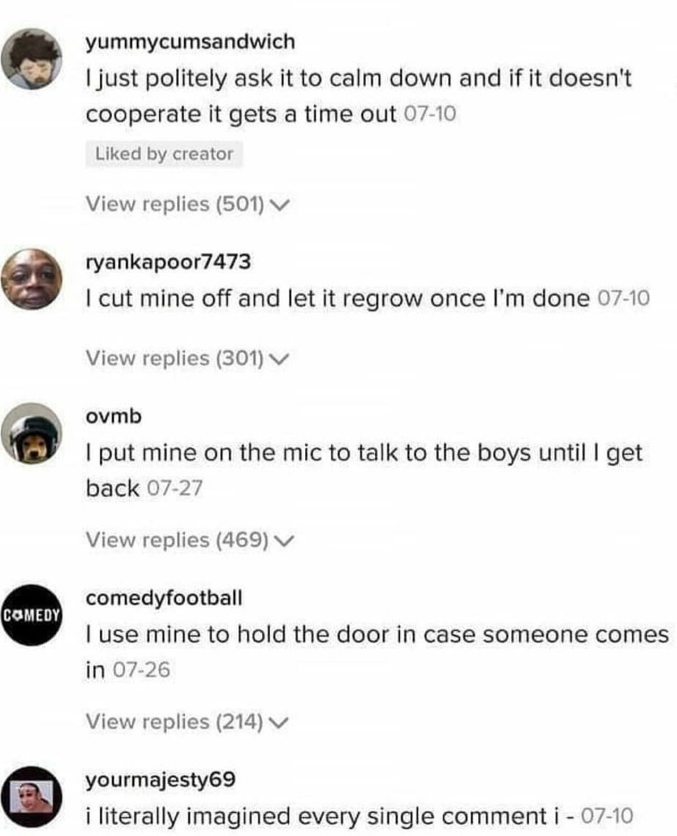 A_I_M_1999's tweet photo. Ladies and gentlemen, the best comment section of all time. https://t.co/lAZQ6KWhrC