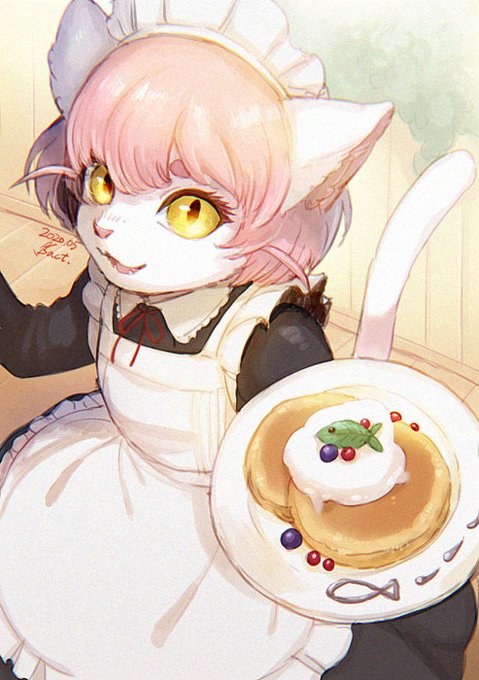 #これでフォロワーさん増えました 