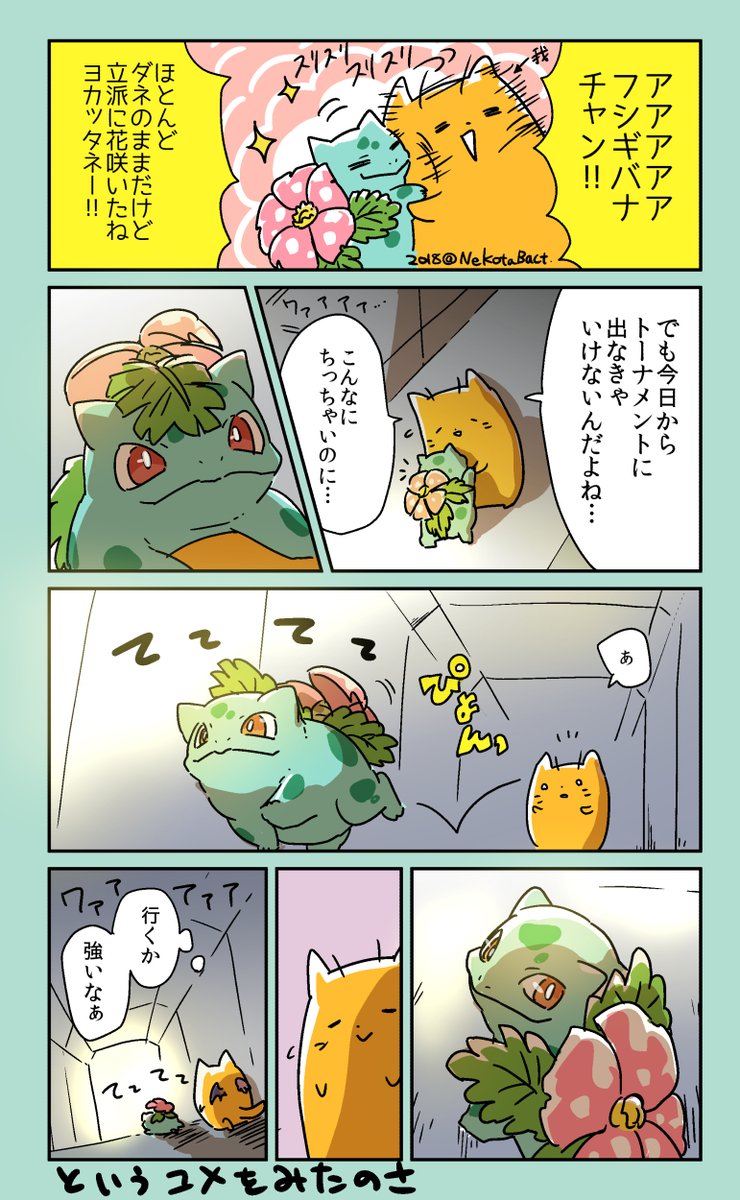 #これでフォロワーさん増えました 