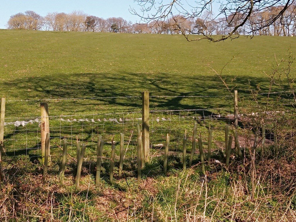 Environment Agency - Yorkshire & North East tweet media