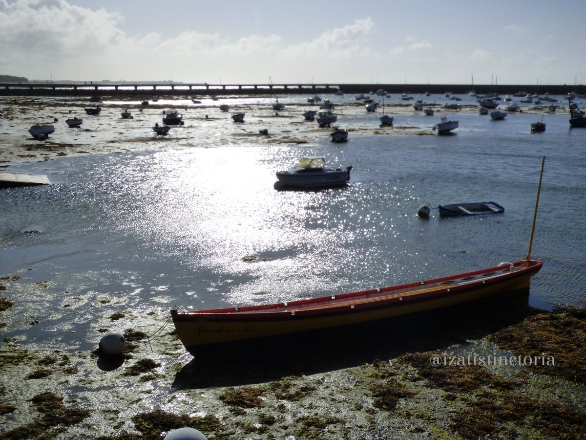 izatistinctoria's tweet photo. #IsatisRandomPhotos📷 #PangolinDiaries🦠 
#Kerity #Bretagne #France https://t.co/3ZMF2VSYS9
