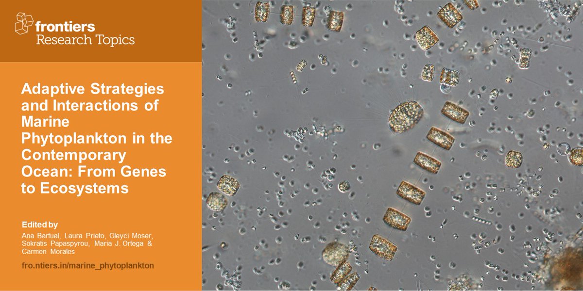 ficoexplora's tweet photo. Still on time to send your abstract and contribution!.#phytoplankton #phycosphere #HAB #adaptation #cyanobacteria #symbiosis #allelopathy https://t.co/idQGnmlcpb