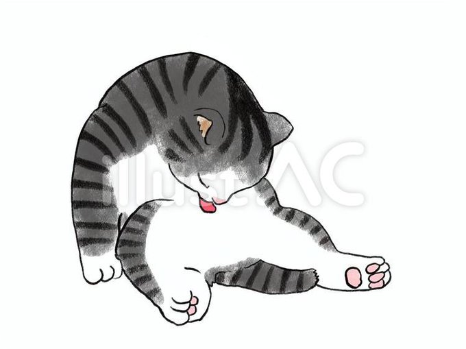 猫の絵のtwitterイラスト検索結果 古い順