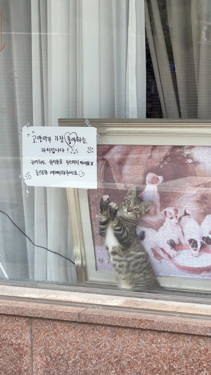 방금 너무 기여운거봄