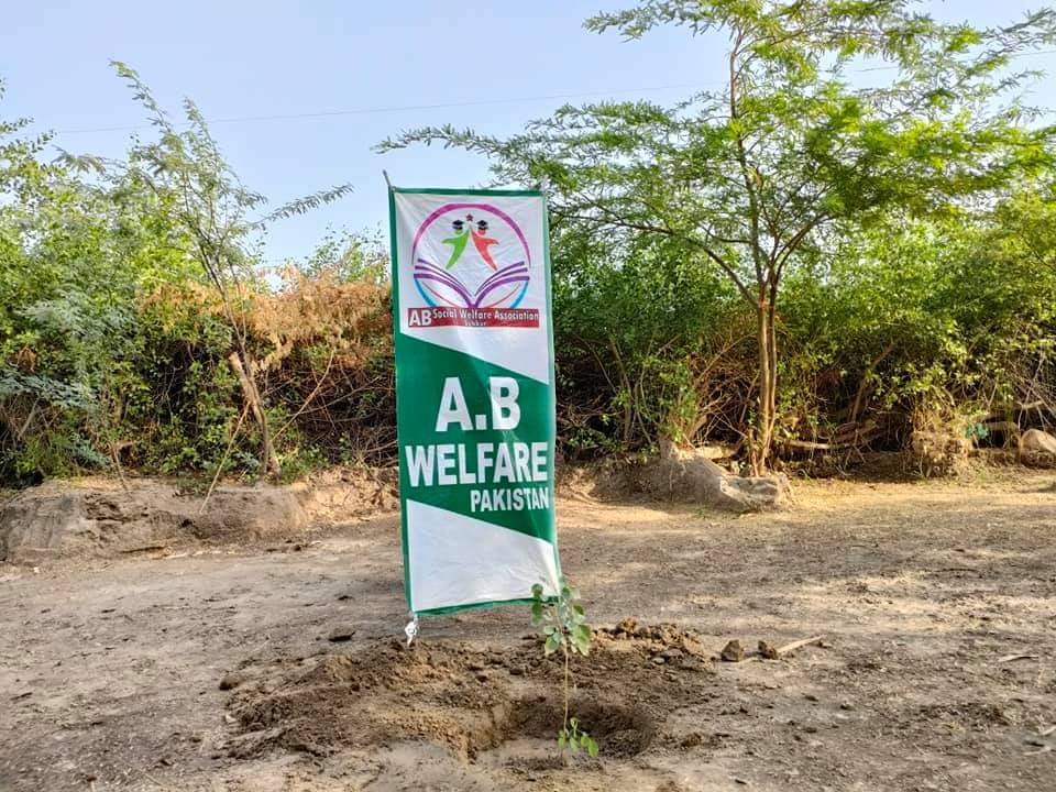SabaBhattipti's tweet photo. A.B Welfare Foundation 🇵🇰🇵🇰
اے بی ویلفیئر کی طرف سے پودے لگائے جارہے ہیں
درخت 🌳🌳🌳 لگائیں پاکستان کے لیے
درخت لگانا صدقہء جاریہ ہے، تو پھر آئیے اس کارِ خیر میں اپنا حصہ ڈالیے۔ 
#Plant4Pakistan 
 🌳🌳🌳 #Tree Plantation Driver in Pakistan
#abfoundation https://t.co/m5PuZvZfO3