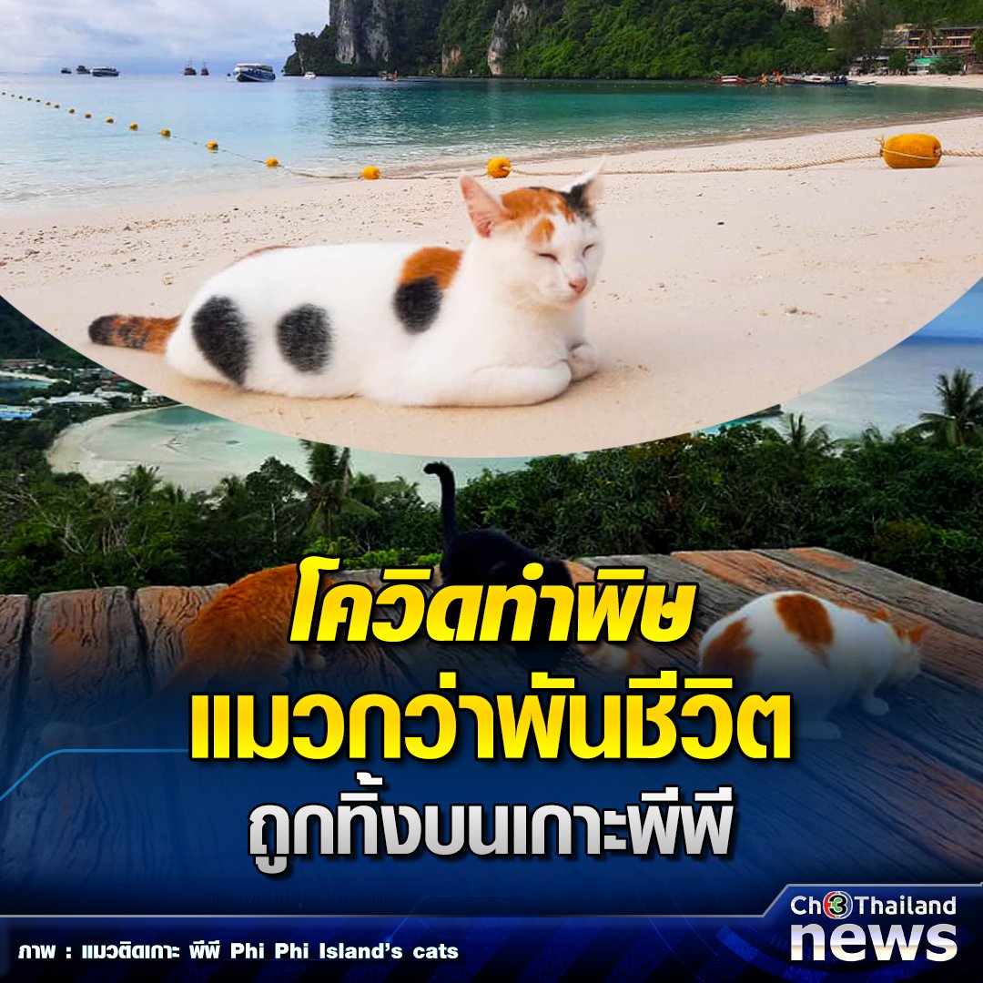 TarotYouuuu's tweet photo. สงสารน้องมาก  อีรัฐไทยมึงเฮงซวยมากจริงๆ!!! https://t.co/He9ogOWGOW