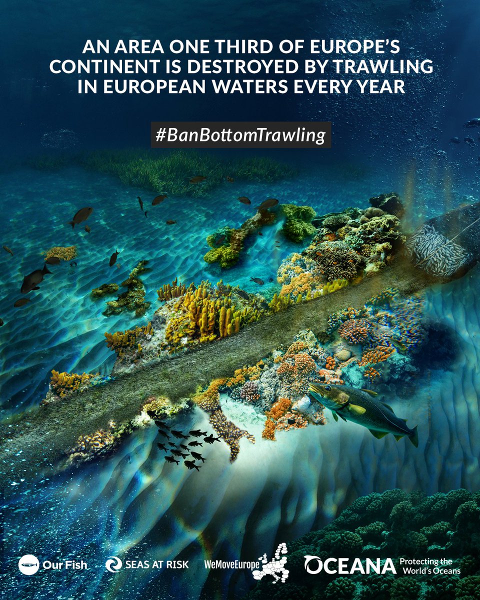 GeorgiaPet5's tweet photo. .@VSinkevicius bottom trawling causes more avoidable damage to the ocean floor than any other human activity. Tell us you will include the ban in the EU Action Plan #IUCNcongress #BanBottomTrawling https://t.co/ZNFZ6aK4C2