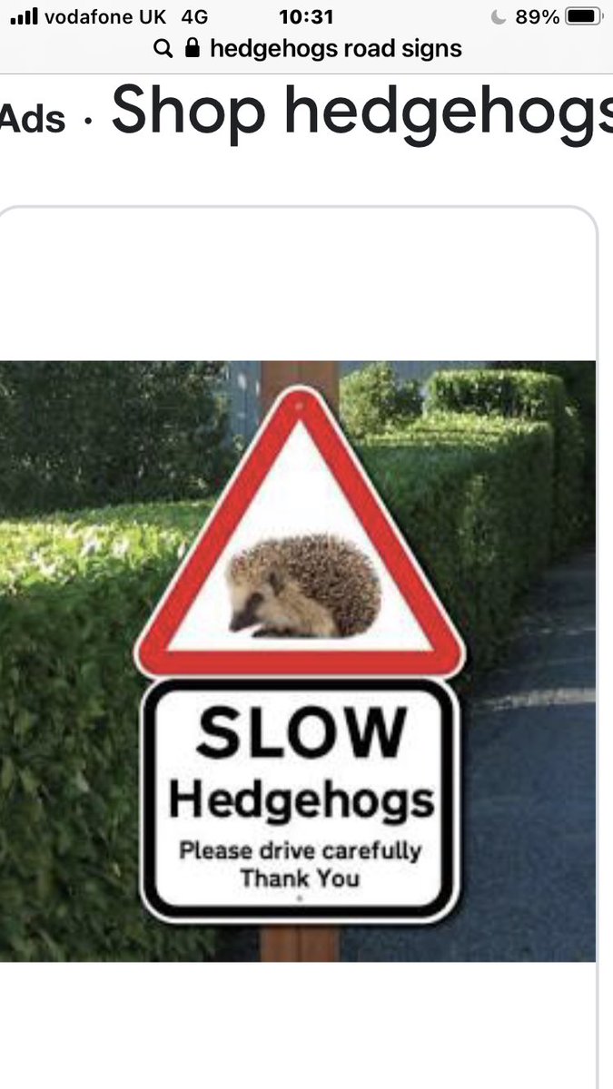 Our roads are killing fields , contact your MP to take actions , for exemple Canada , Germany , Denmark they have effective schemes in place , a bit of efforts from our gov would help a lot <a href="/BarnesHedgehogs/">Barnes Hedgehogs</a> #hedgehogs #roads #highways #environment #wildlife