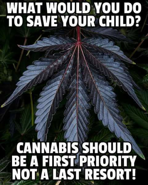 cannaworldsite's tweet photo. https://t.co/zXhwz5yJbP