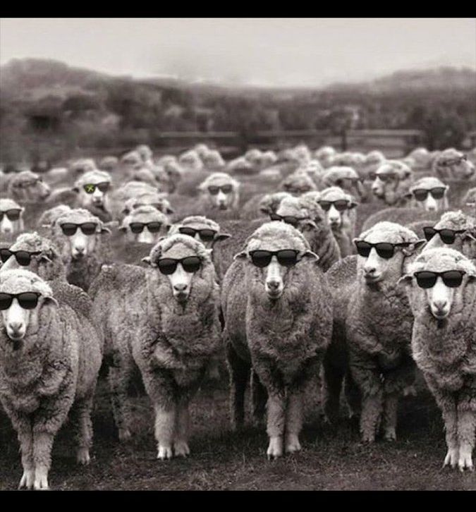 <a href="/acikcenk/">Levent Gültekin</a> Sorsalar ben aydınım dersin ama LAİKLİK  DOGMASINI her hücrene kadar zerketmişler. ve bünyen de 1güzel  kaldırmış. 🤔

aa o dogma, aaa bu dogma diye takılırken modernlik adıAltında sanaKakalanan, bildiğin yeniYeni Dogmalara gönüllüsünden esir veKöle yapılmışsıBe, Levent efendi😉