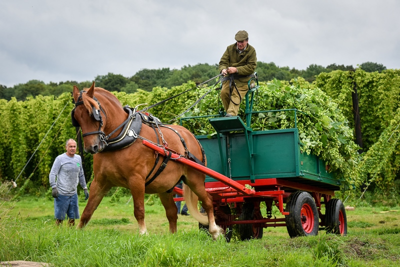 Ontrade Progress tweet media