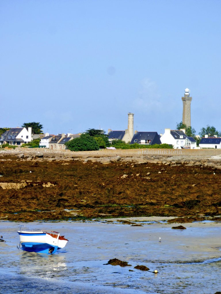izatistinctoria's tweet photo. #IsatisRandomPhotos📷 #PangolinDiaries🦠 
#Kerity #Bretagne #France https://t.co/BGeXanN9VS