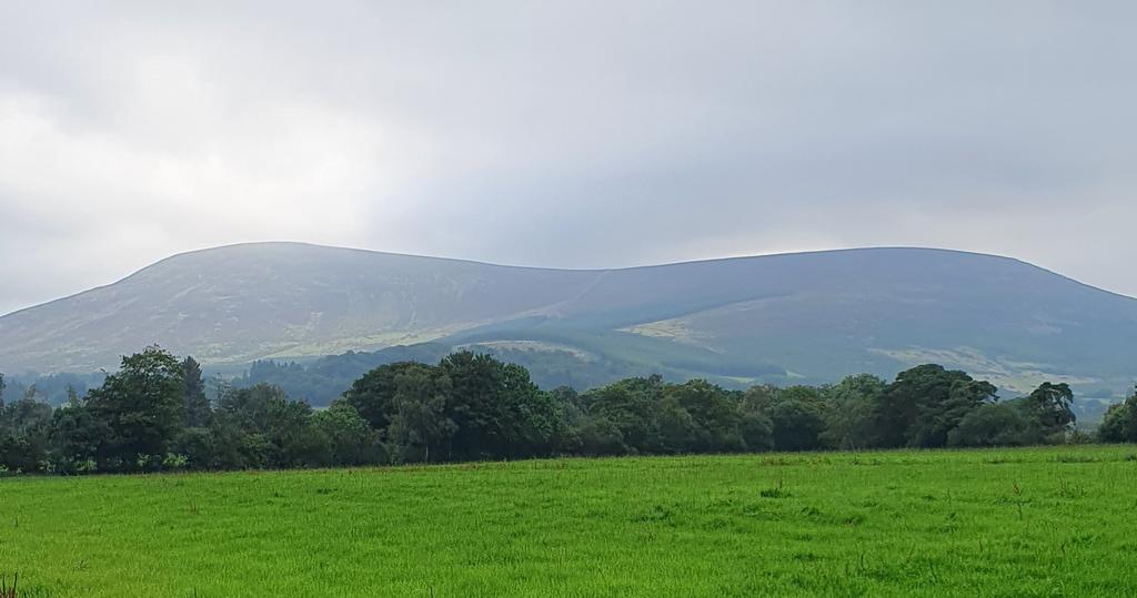 KeadeenMountainFarms tweet media