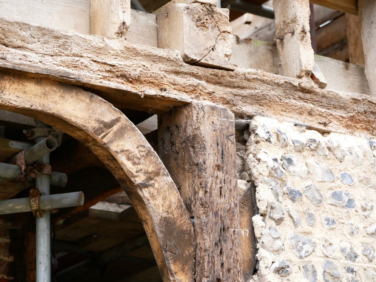 archangels ARCHITECTS tweet media