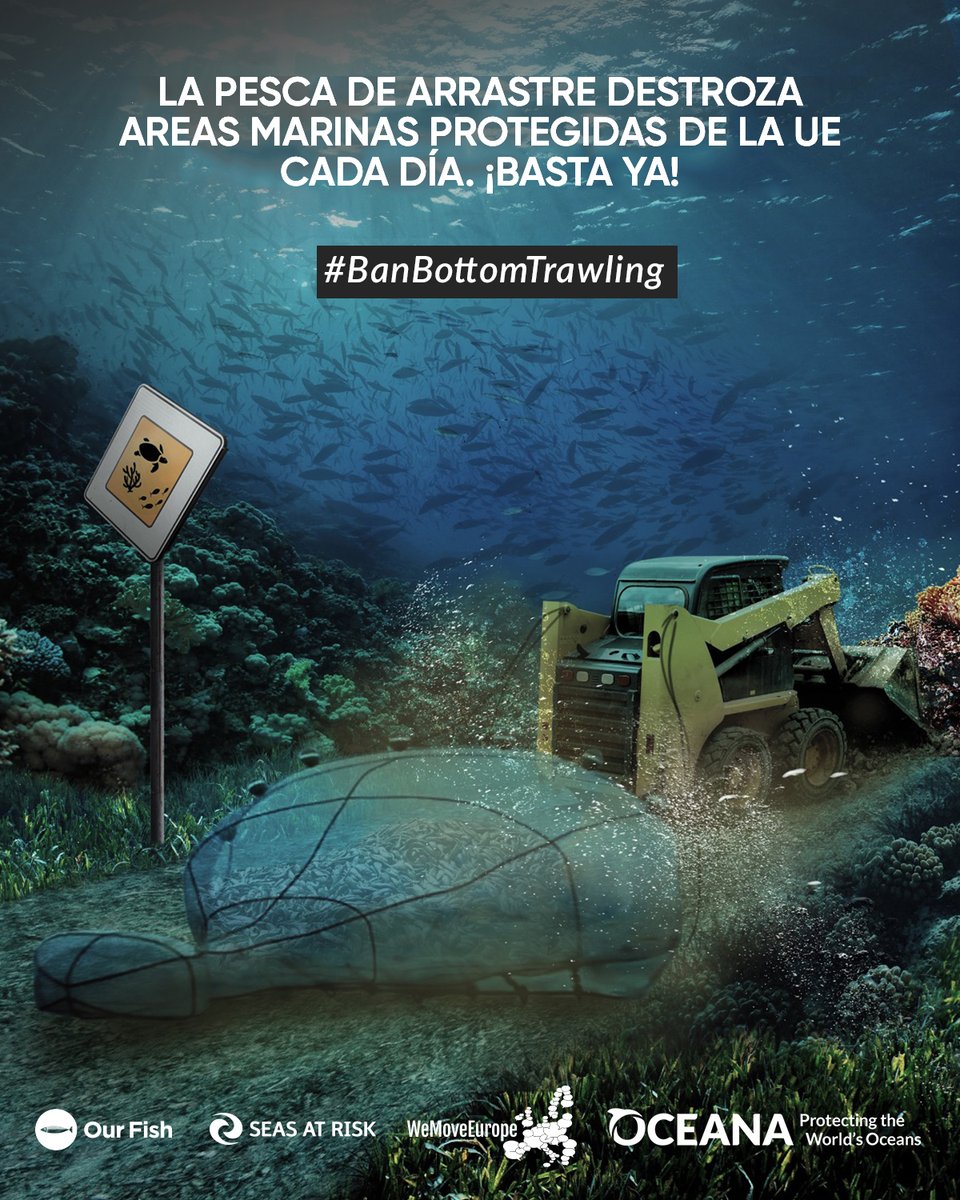 Antropolopez's tweet photo. .@VSinkevicius, necesitamos acciones firmes para prohibir la pesca de arrastre en las zonas marinas protegidas. Pare la masacre de cientos de especies e incluya esta prohibición en el próximo Plan de Acción de la UE. #IUCNcongress #BanBottomTrawling https://t.co/qsrti0dZo6