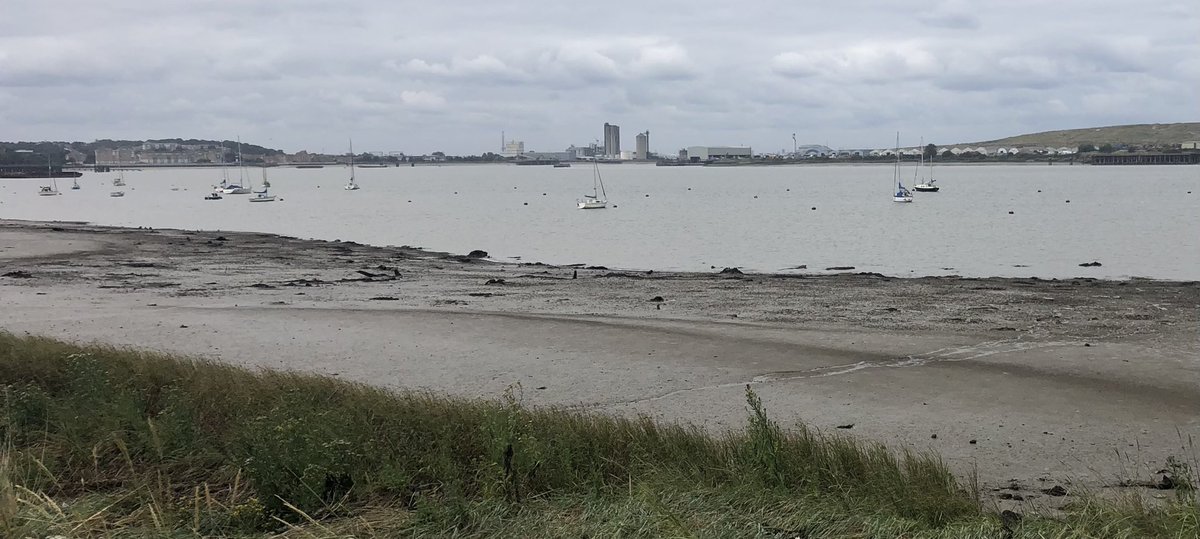 GreenwichMole's tweet photo. #wonder Walked foreshore Erith at low tide to see beginnings of emerging petrified forest, going back at Spring tide (lowest) to see it in full glory #prehistoric #4000BC #oak #ash #elm #holly #Erith danger warning -mud https://t.co/U561TbACZf