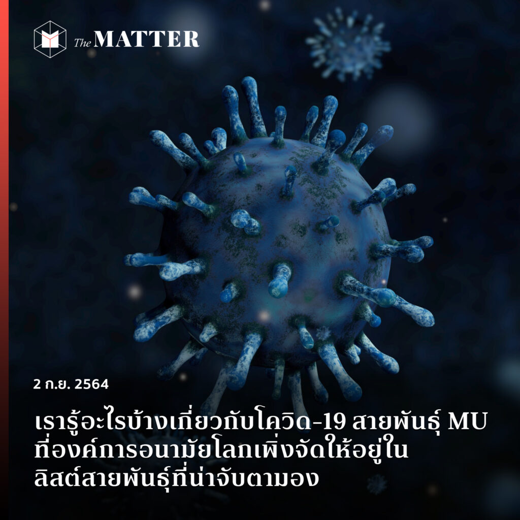 thematterco's tweet image. ข่าวใหญ่ในวงการ COVID-19 ช่วงวันสองวันที่ผ่านมาคงหนีไม่พ้นองค์การอนามัยโลก (WHO) ประกาศเฝ้าระวัง COVID-19 กลายพันธุ์ B.1621 หรือ มิว (MU) ก่อนจะยกระดับมาจัดให้อยู่ในกลุ่มของสายพันธุ์ที่น่าจับตามอง (VOI) หลังพบการระบาดมากขึ้นในฝั่งยุโรป

thematter.co/brief/153944/1…