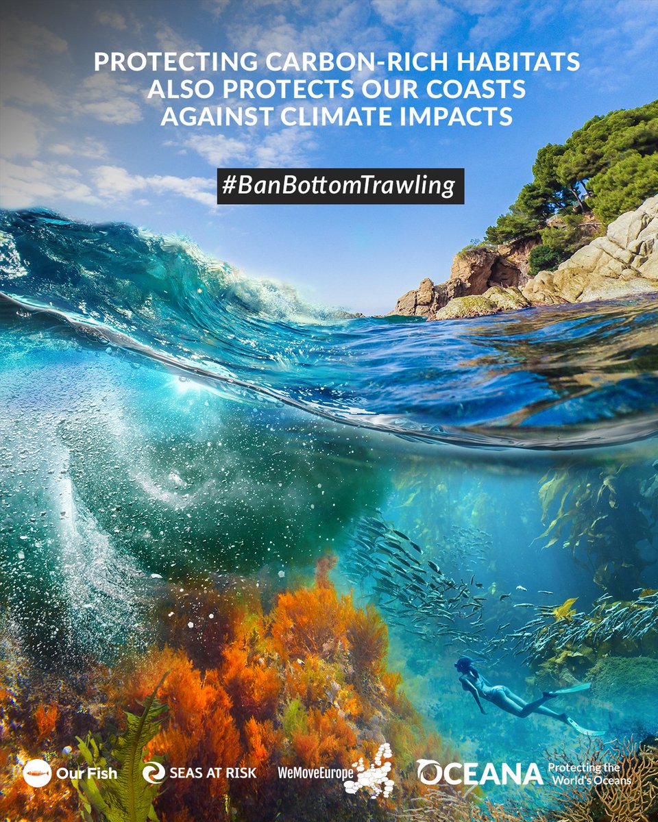 .<a href="/VSinkevicius/">Virginijus Sinkevičius</a> you agree that urgent CPR is needed to Care, Protect and Revive our ocean. So why have you not banned bottom trawling in our marine protected areas? Include this ban in the upcoming EU Action Plan #IUCNcongress #BanBottomTrawling