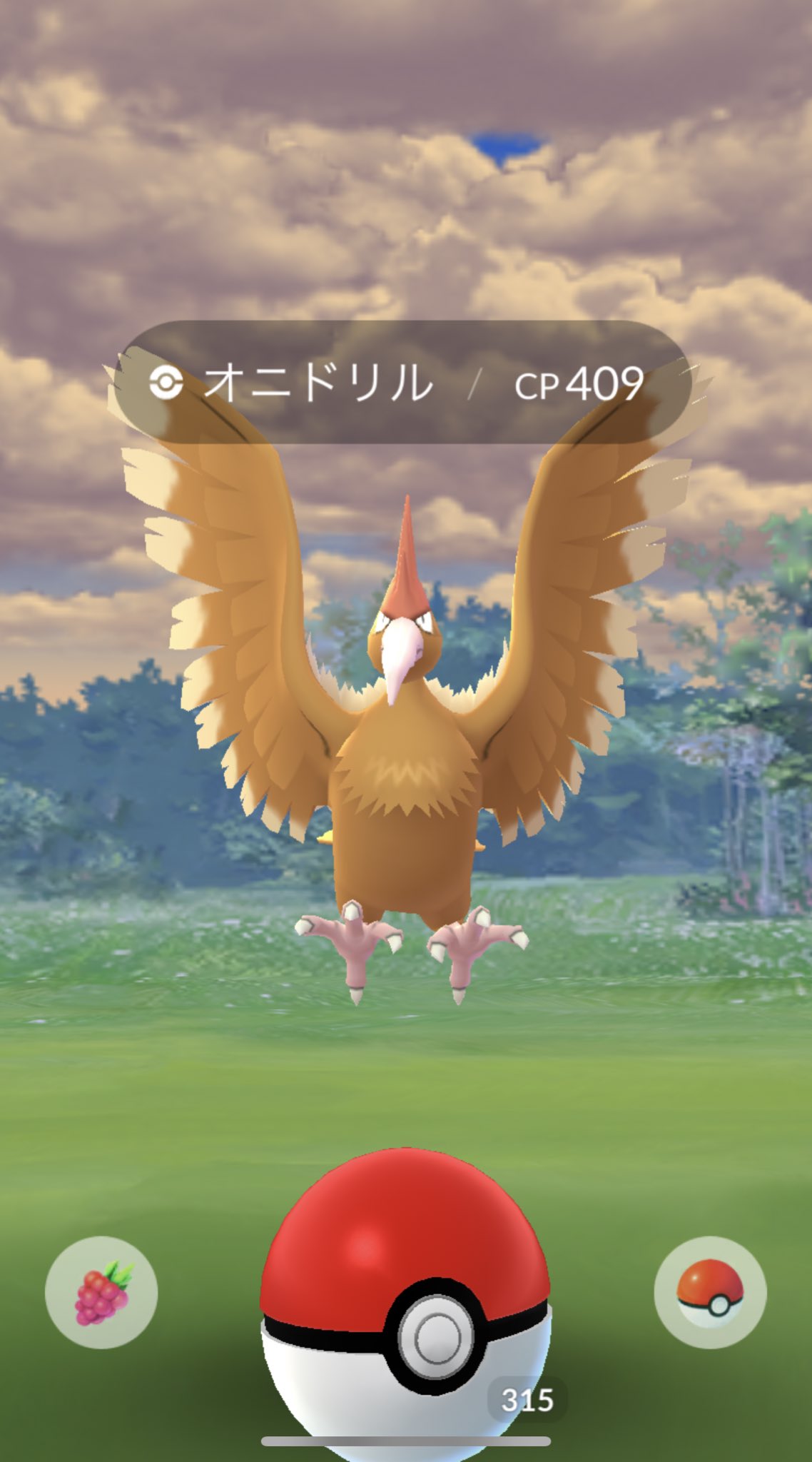 まったりやるポケモンgo 野生のオニドリル背景と相まってかっこいいかも T Co 3jqptp9yk5 Twitter まったりやるポケモンgo 野生のオニドリル背景と相まってかっこいいかも T Co 3jqptp9yk5 Twitter