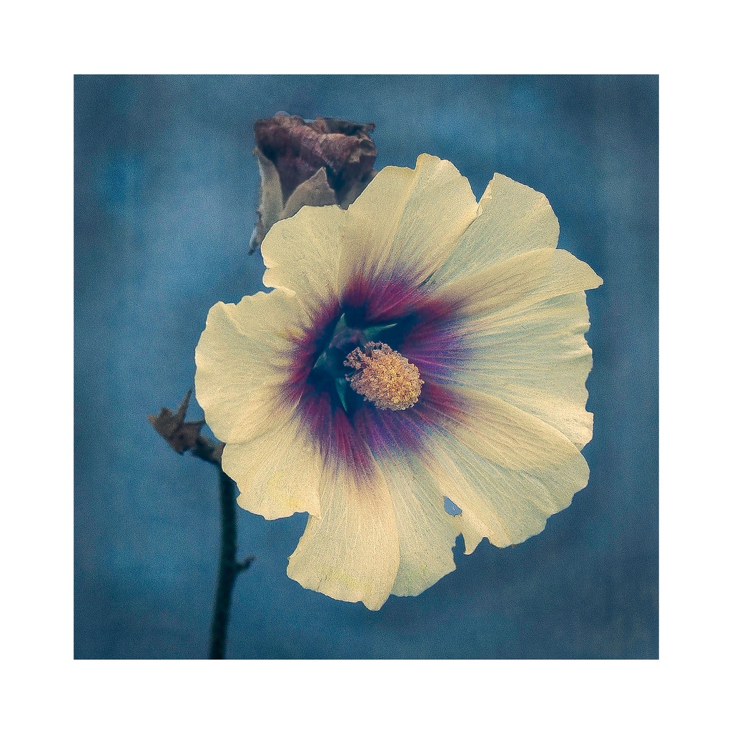 3030print tweet media