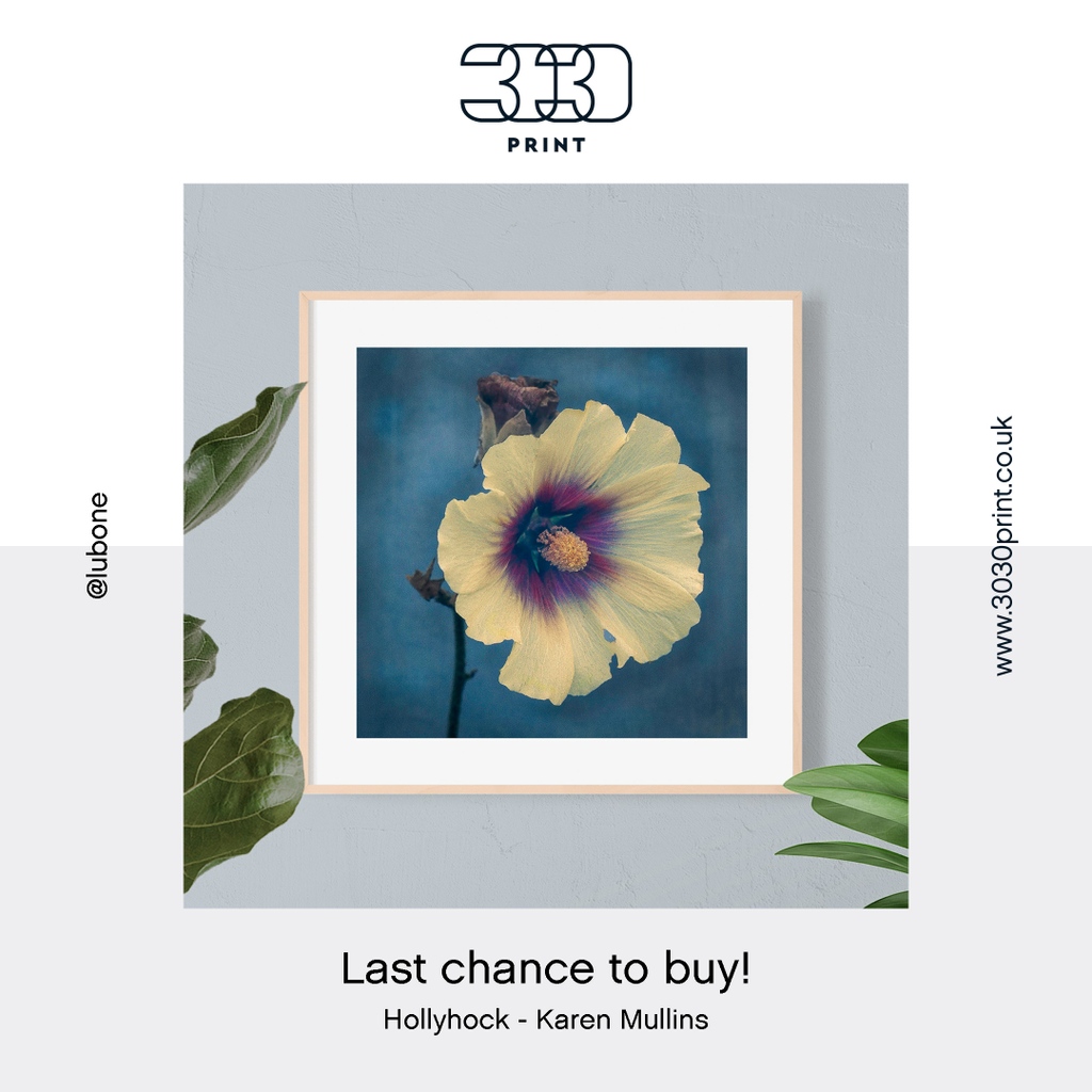 3030print tweet media