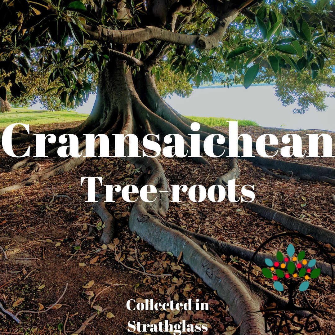 DASG_Glaschu's tweet photo. https://t.co/y9jFiTLfa4
🌲
CRANNSAICHEAN - TREE-ROOTS
🌱
#craobh #crann #craobhan #tree #root #roots
🌳
#SrathGhlais #Strathglass #Strathglas
#Gàidhlig #Gaelic https://t.co/UIStWR2wal