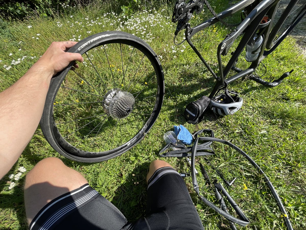 Fabian Pimminger tweet media