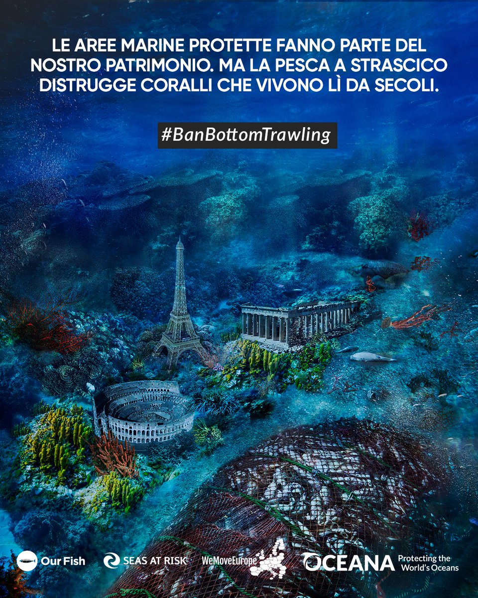 Enric013's tweet photo. .@VSinkevicius Gli oceani hanno bisogno delle nostre cure urgenti. Siamo tutti d’accordo. Ma allora perché non è già stata vietata la pesca a strascico nelle nostre aree marine protette? #IUCNcongress #BanBottomTrawling https://t.co/xrijr5mAhD
