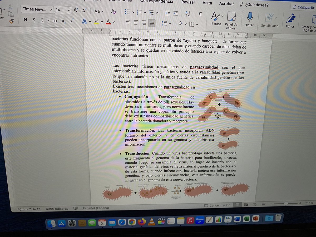 angelbardasco's tweet photo. Comenzamos un nuevo curso en el @colegio_rcajal lleno de ilusión con ganas de trabajar duro: #prácticas 🔬 con #Drosophila 🪰 en #4ESO, revisión completa del material 📖 para #2BACHILLERARO incluyendo #vídeoclases 📺 y #podcast 🎧…
Nada frena a un #biólogo 🧑‍🔬🧬💪 https://t.co/lG3IqbQVqS