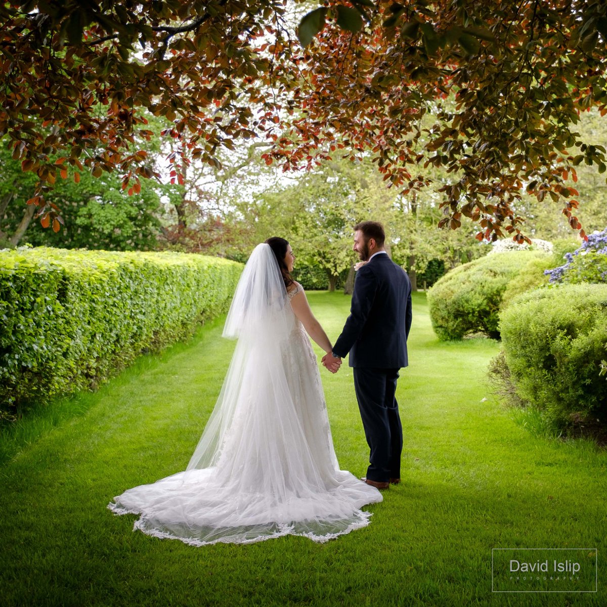 DavidIslipPhotography tweet media