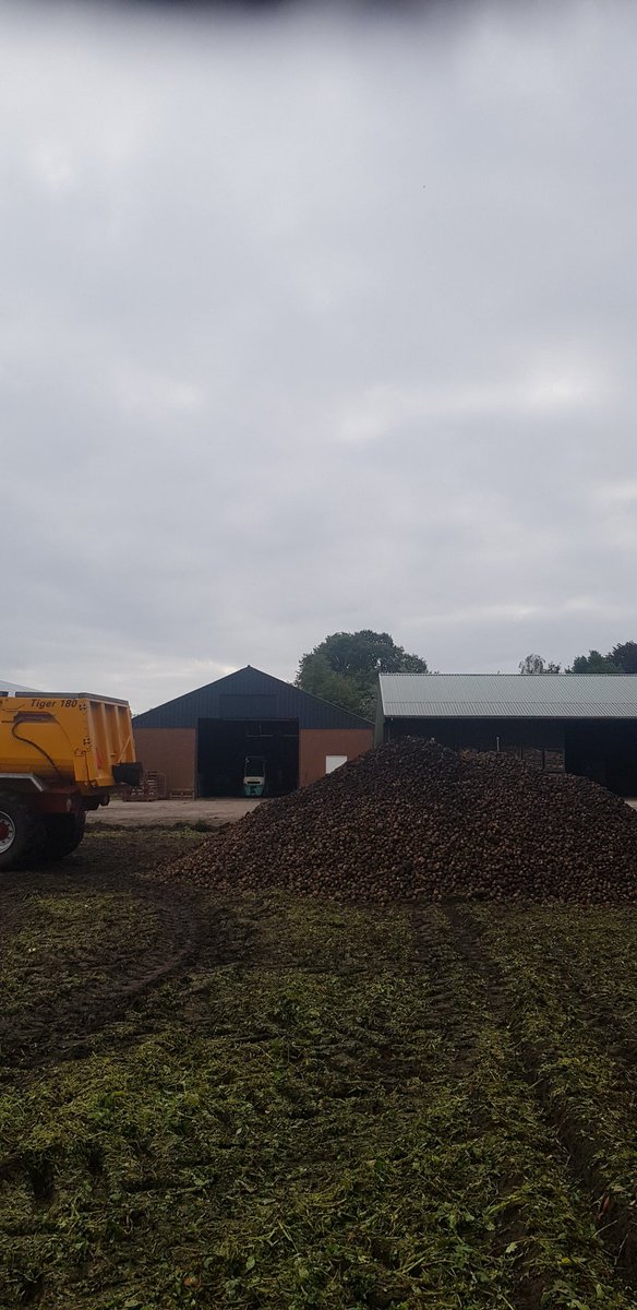 Berndsloots's tweet photo. Vandaag zijn we gestart met de oogst van onze zetmeelaardappelen. Het rooien word gedaan door een Grimme varitron 470 van Houwing agro BV. @_Weinans @alexboer1 #periode1 #AVEBE #akker #Grimme #powertothezetmeelpieper #saprodi #nieuweoogst #boerbewust https://t.co/OvdcRan6Jb