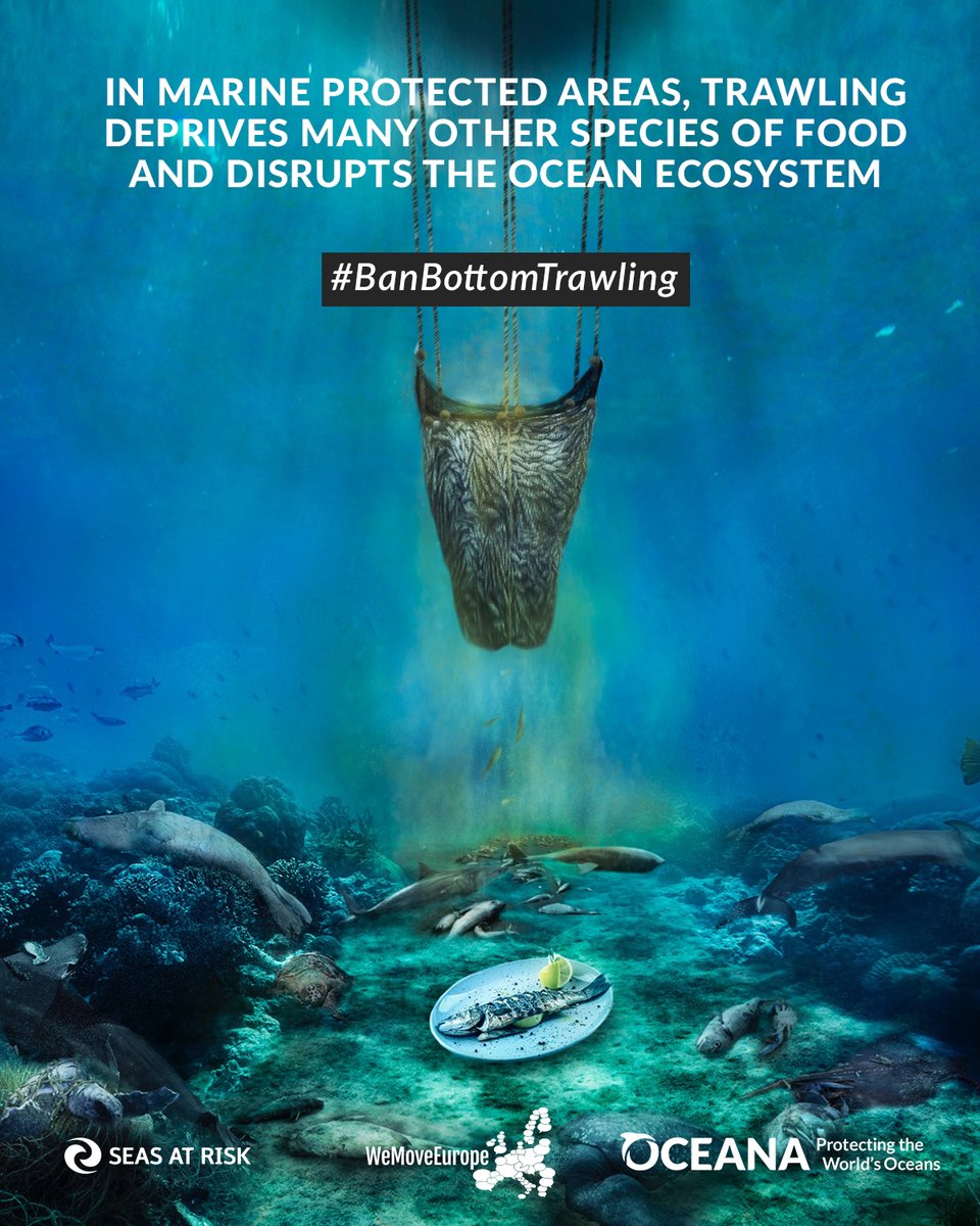 davewalshphoto's tweet photo. .@VSinkevicius Stop the indiscriminate and unnecessary killing of thousands of marine species. Confirm that you will ban the damaging practice of bottom-trawling in the upcoming EU Action Plan  #IUCNcongress #BanBottomTrawling https://t.co/gMx6fkHPNk