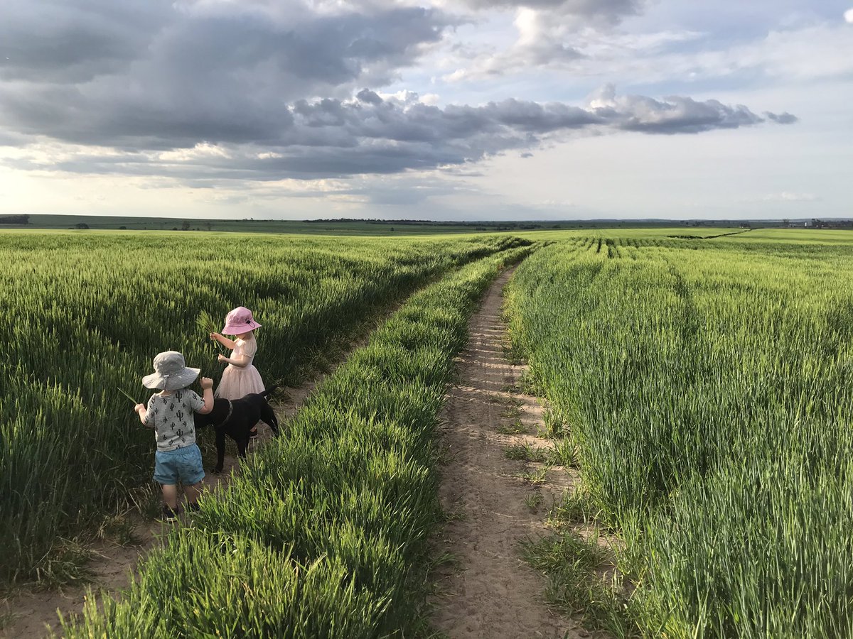 SkyeGabb's tweet photo. With Spartacus standing back up, views from the front yard don’t get much better 👌 https://t.co/BJKNUrbdMe