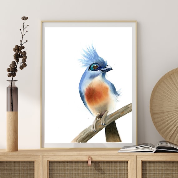 Olgatch's tweet photo. Tropical Bird Print Fine Art Decor, Watercolor https://t.co/5tH1xIQUBz #prints #gicle #birdartwork #birdposter #birdwallart #madagascarbird @etsymktgtool https://t.co/ieGWQ5k7ps
