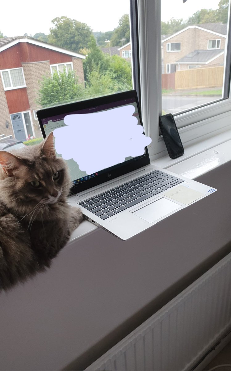 roxydinnis's tweet photo. My current work set up thanks to #skybroadband going down and very limited signal to hotspot from. Luna is not impressed. How long until it's fixed @SkyHelpTeam? https://t.co/vWJ21qXt6f