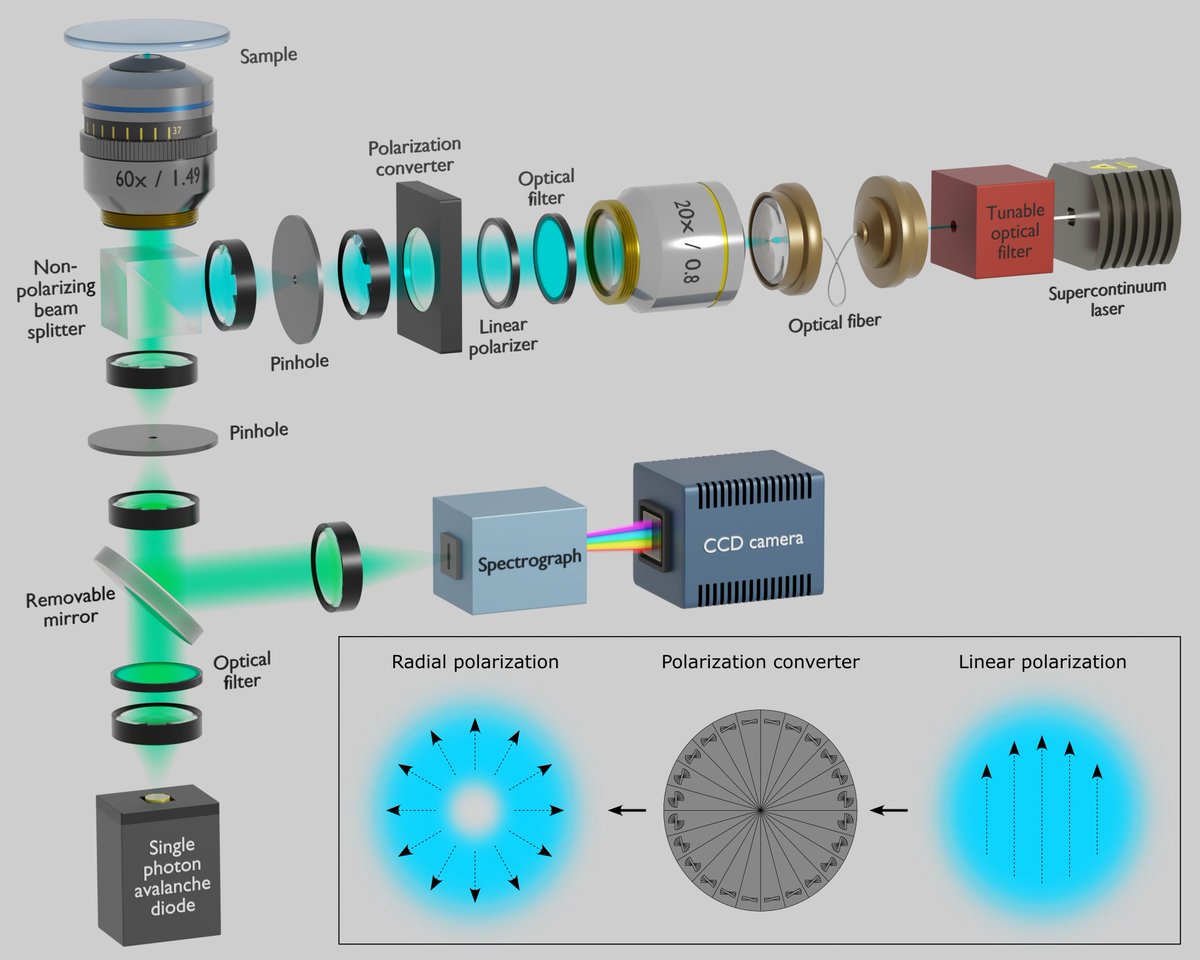 Another 3D visualization of the microscope for an upcoming paper #Blender3d #sciart