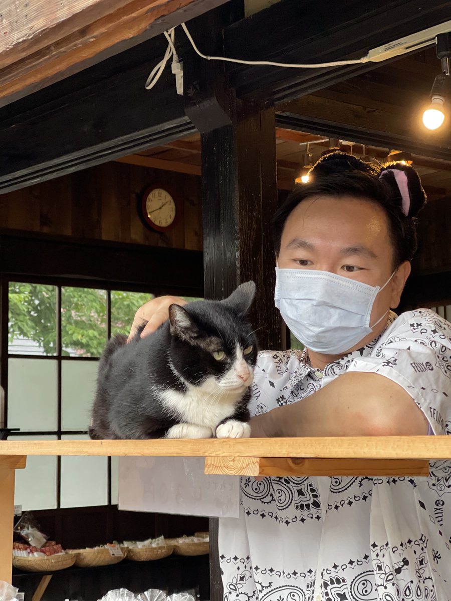 RAB発日テレ系全国ネット】猫大好き芸能人集結！東北ニャンだらけ