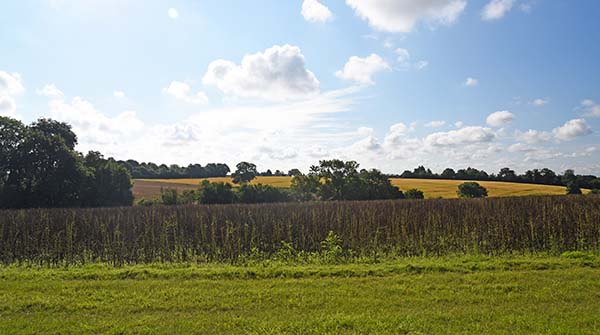 Take a virtual tour of  the 'Wildfell Centre for Environmental Recovery', a 296-acre site dedicated to helping landowners unlock the potential of their under-used land ➡️ ow.ly/VQHI50G2RY3