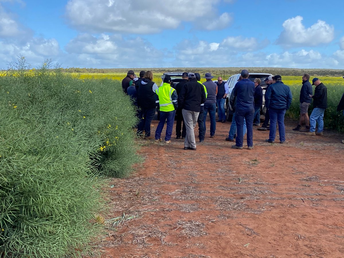 Grant Thompson tweet media