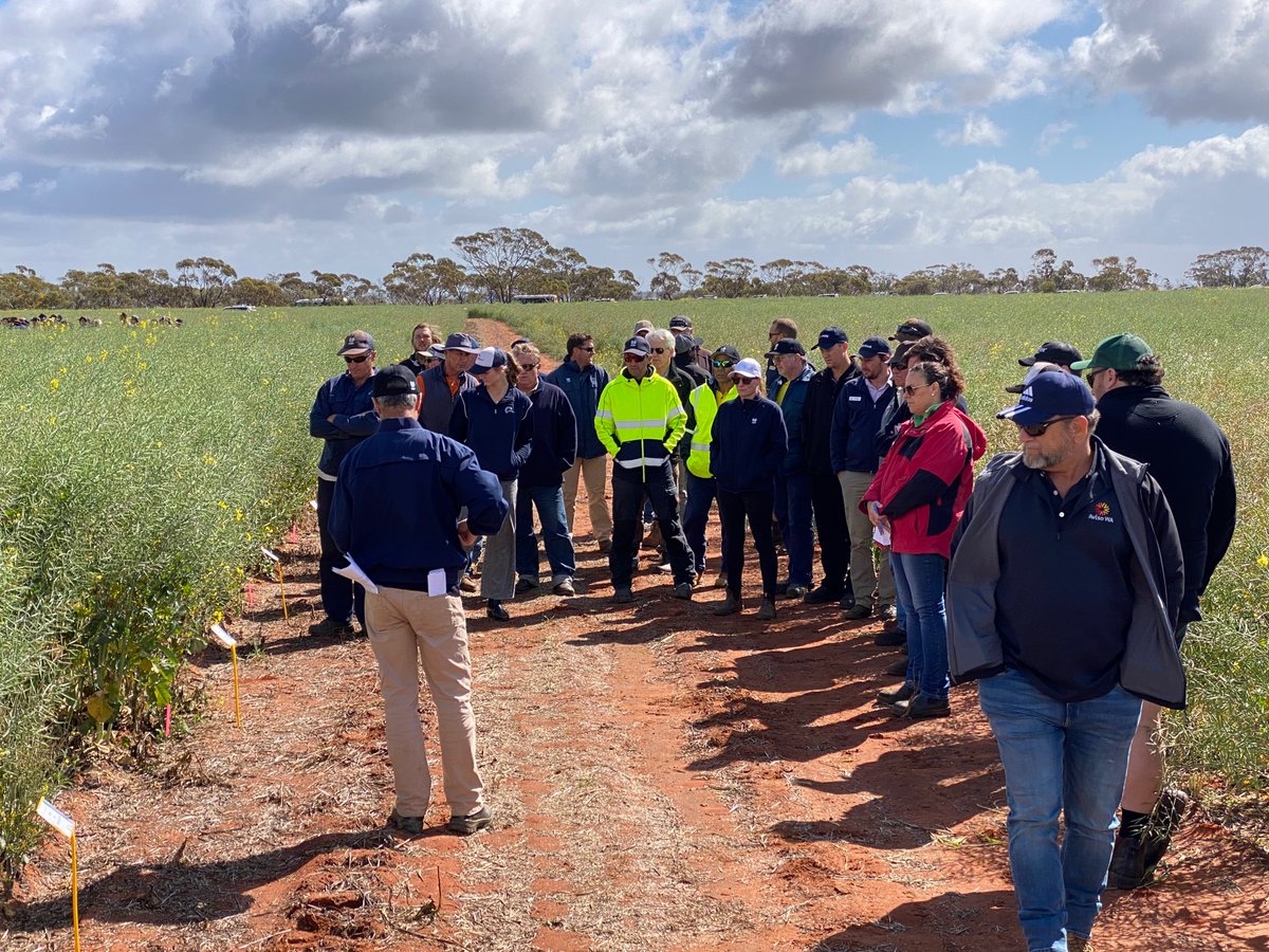 Grant Thompson tweet media