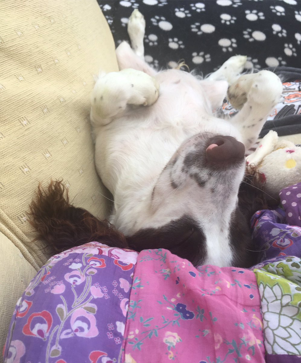 Living his best life 🥰