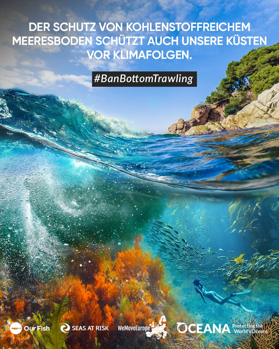 Joerg_Hutter's tweet photo. .@VSinkevicius Unser Ozean muss wiederbelebt werden. Warum haben Sie die Grundschleppnetzfischerei in Schutzgebieten noch nicht verboten? Nehmen Sie das Verbot in den EU-Aktionsplan auf. #IUCNcongress #BanBottomTrawling https://t.co/nCtz3mVbxI