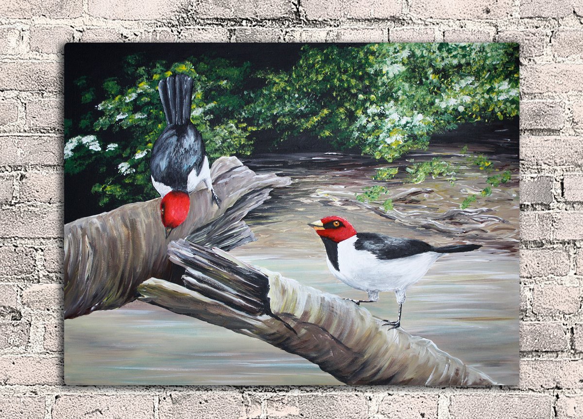 EmilyHockingArt's tweet photo. #ThrowbackThursday to this painting I was commissioned to do last summer of these birds in the Peruvian Amazon. This commission was extra special as it was for a couple we met when doing the Inca Trail in 2019 and they saw these birds on the same trip! https://t.co/O4YDICeITN