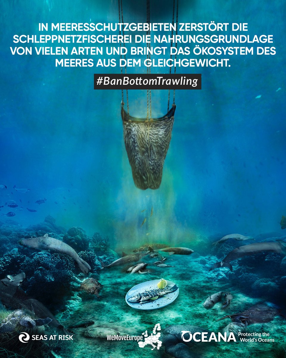 AlPfaeffl's tweet photo. #Schleppnetze  @VSinkevicius Stoppen Sie das wahllose und unnütze Töten von Tausenden von Meeresarten in den Gewässern unserer #Eu #Verbot der Grundschleppnetzfischerei in den kommenden EU-Aktionsplan aufnehmen #IUCNcongress #BanBottomTrawling https://t.co/ewbQ3OzwQu https://t.co/uuugI49T5Y