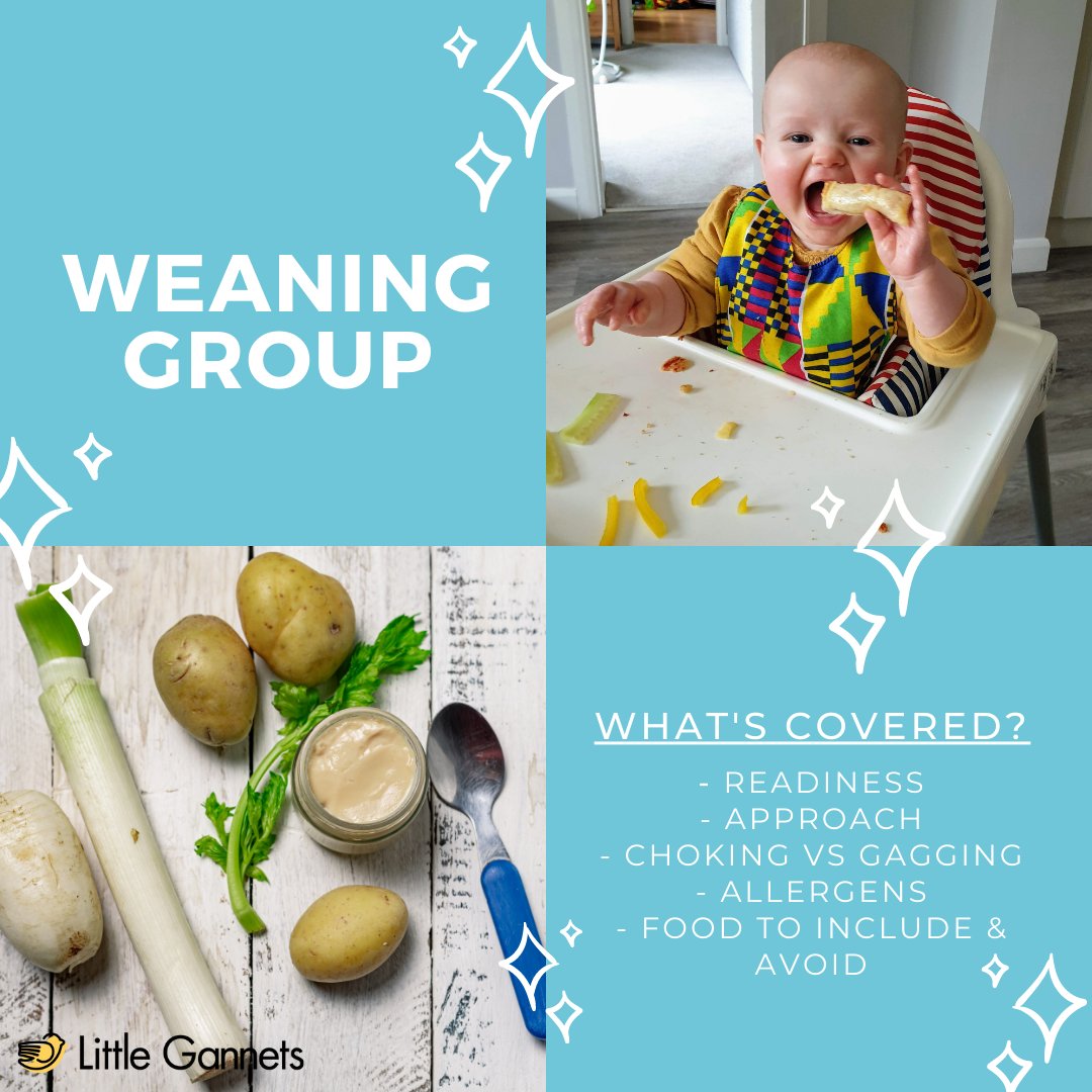 littlegannetsUK's tweet photo. This time next week I'll be holding my next #weaning group @HubOnTheHill. Here is some of what I cover. The groups are very informal to answer all your questions! If you want to join us email hello@littlegannets.co.uk. https://t.co/KKYqUUTm09