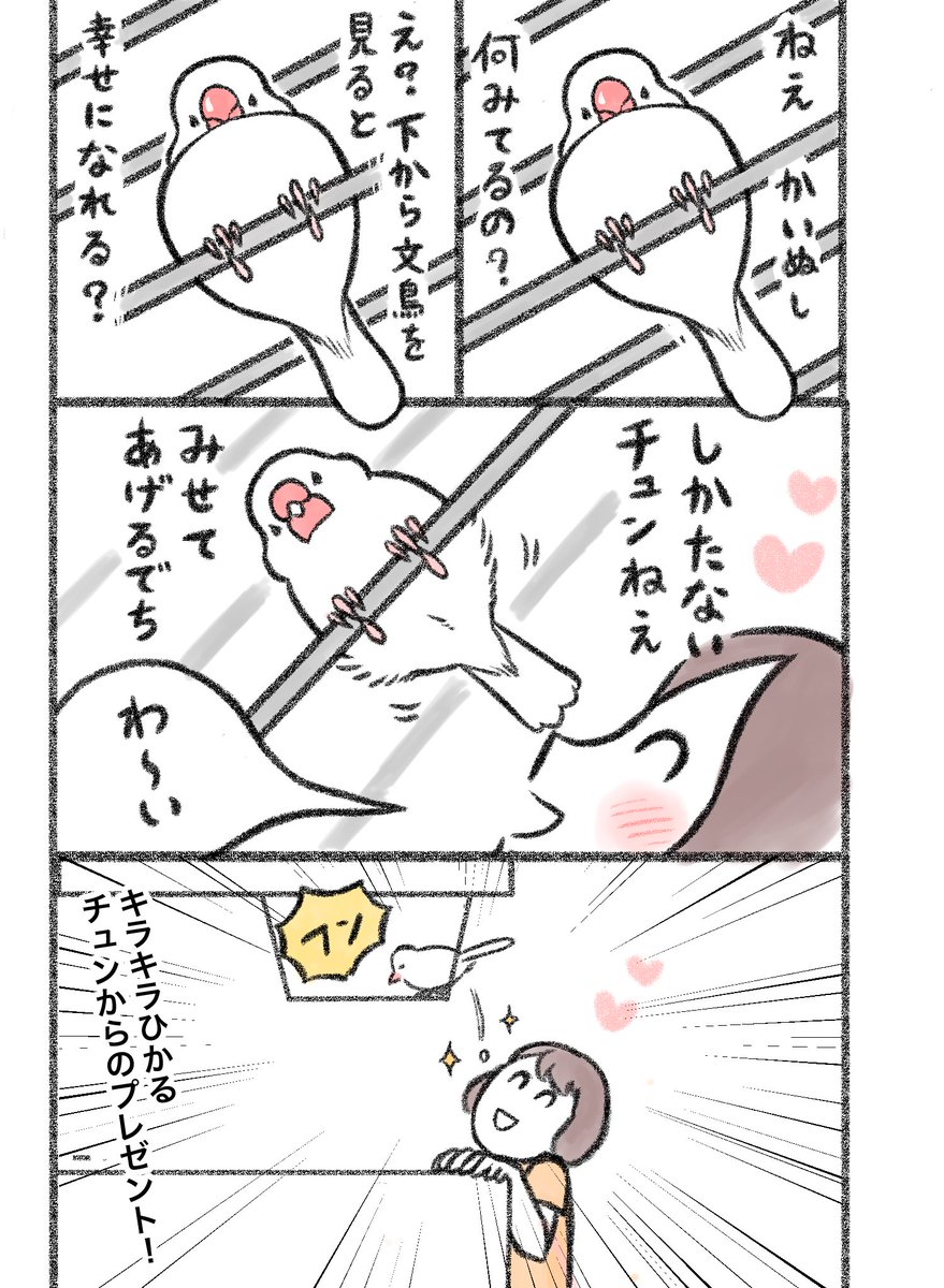 マンガ「見せてあげるでち」

#文鳥 #漫画が読めるハッシュタグ 