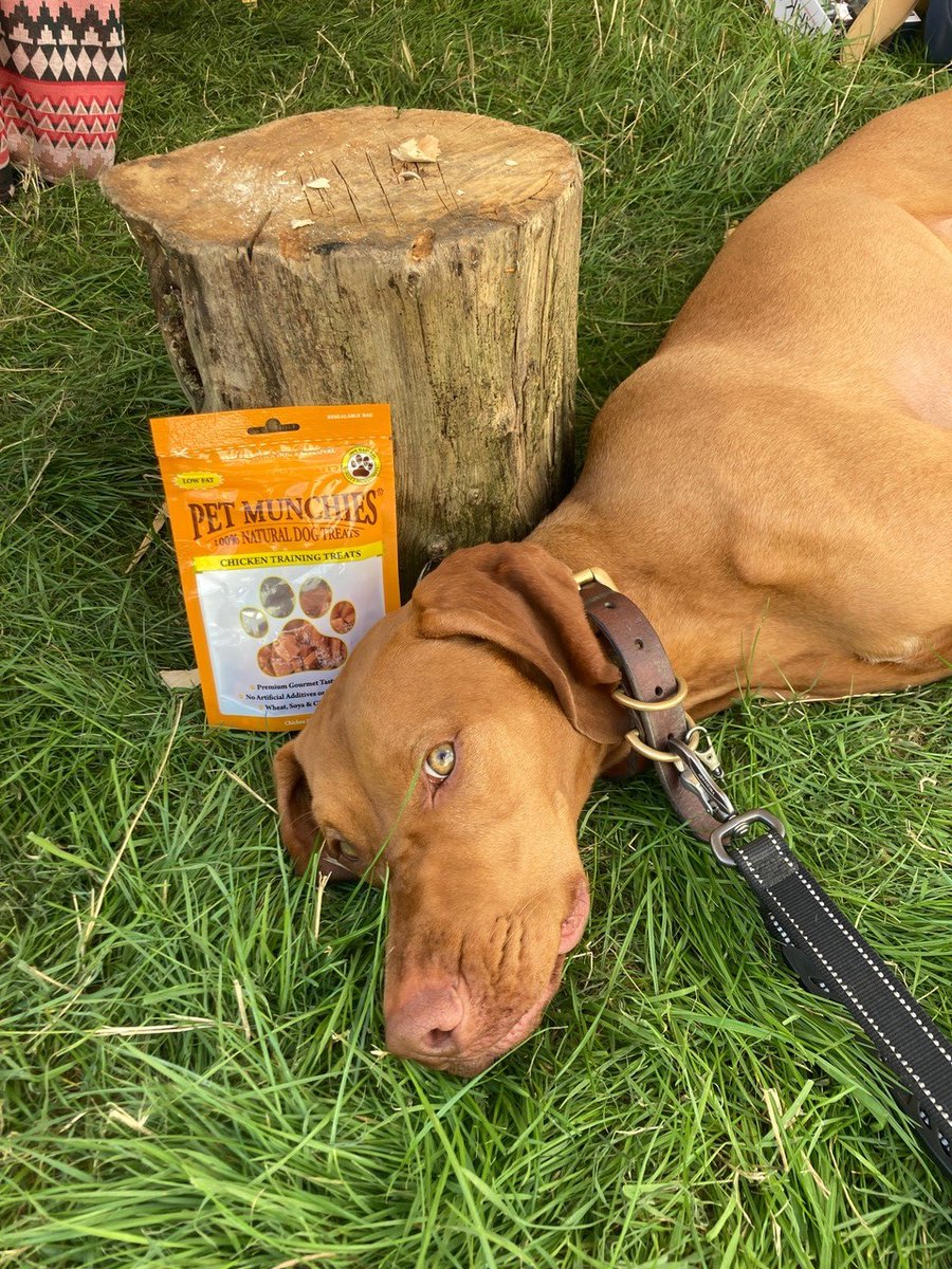 PetMunchies's tweet image. #win #giveaway of #PetMunchies #natural #dog  #pet #treats  #dogtreats  #trainingtreats #training #dogs #competition #dogsoftwitter #chicken  #pup #puppy follow &amp;amp; RT 2enter by 9 September