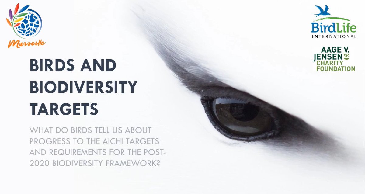 stubutchart's tweet photo. What do birds tell us about successes &amp; failures in meeting the Aichi Biodiversity Targets &amp; what are the implications for @UNBiodiversity post-2020 Global Biodiversity Framework? New video summarising latest #StateoftheWorldsBirds report https://t.co/6MXtF8jOHN #BirdLifeScience https://t.co/m0UfAb7bcO