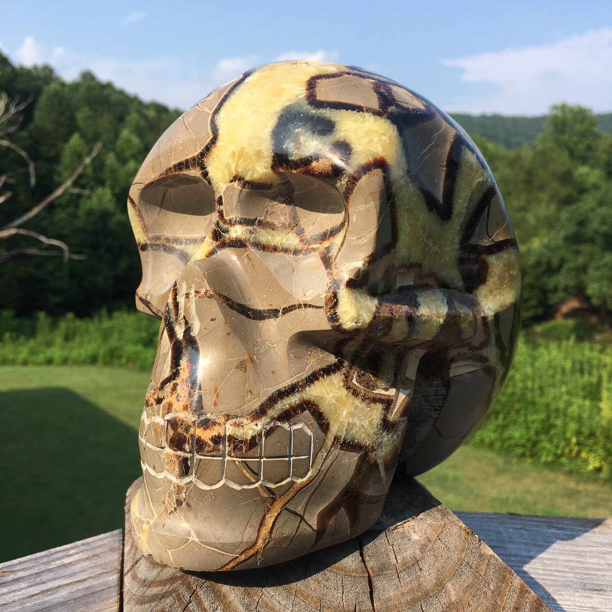 3rdStoneStudios's tweet photo. #LaborDay #FlashSale! 15% off entire shop! π Shop Link: β¬οΈ https://t.co/Isgkg5ASOA
ππ²π½β€οΈ#CrystalSkulls #Crystals #Skulls #Dragons #Aliens #Etsy #Quartz #Labradorite #GreenOpal #MossAgate #Druzy #Minerals #Geology #AncientAliens #LoveIsInTheEarth #CrystalLove #HotRocksSummer https://t.co/cs5JVdMtTR